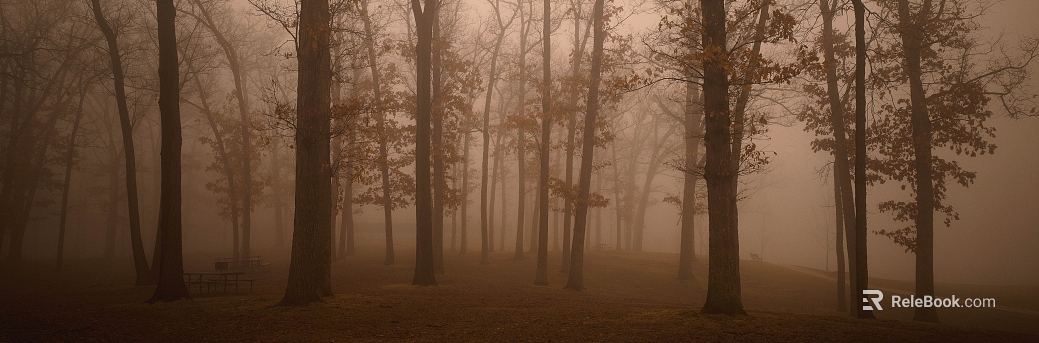 Dark Brown Mist Forest Exterior Map texture