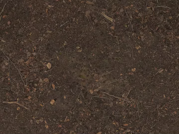 Ground 3d model