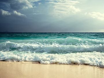 Seaview texture (ID:ffach870361)