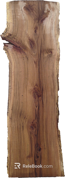 Trunk texture