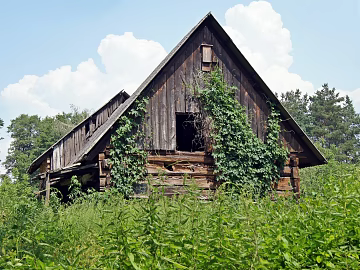 Wooden House texture (ID:ffach979984)