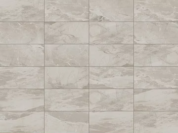 12x 24 ash matte tile texture (ID:ffach853693)