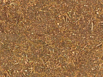 Real outdoor scene lawn texture (ID:ffach106020)