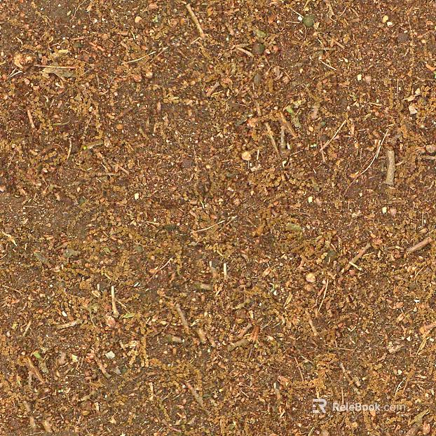 Real outdoor scene lawn texture
