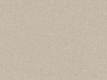 Light beige matte latex paint for wall texture (ID:ffaeh487264)