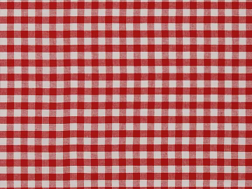 Plaid 3d model