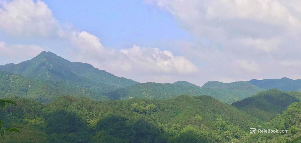 Wild Scenery texture