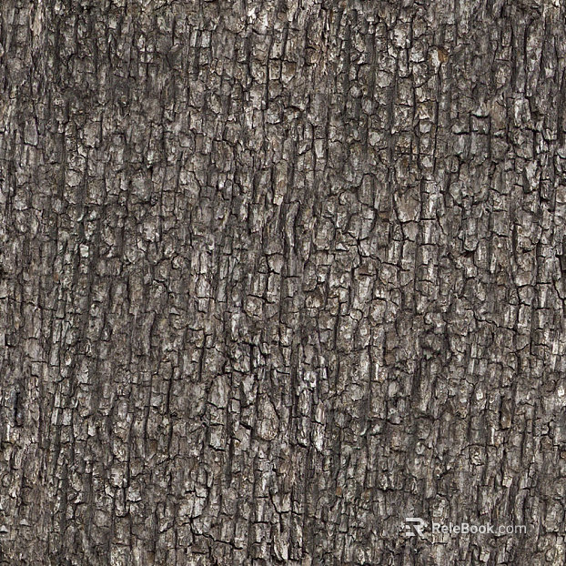 bark texture
