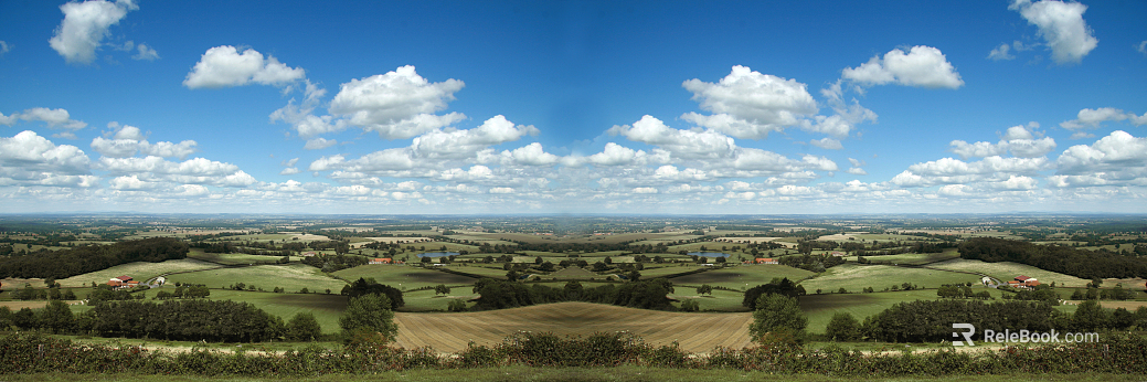 Wild Scenery texture