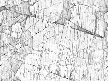 Black and White Bump texture (ID:ffajg74004)