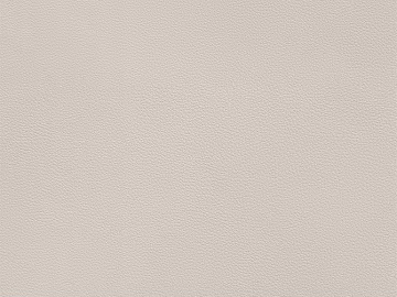 fine grain leather texture (ID:ffabg32848)
