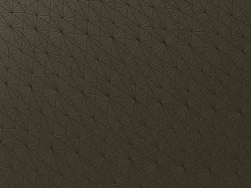 Dark embossed diamond-patterned leather 3d model