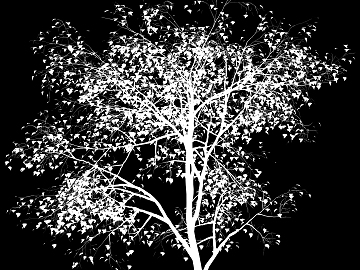 black and white tree shadow texture (ID:ffagg72046)