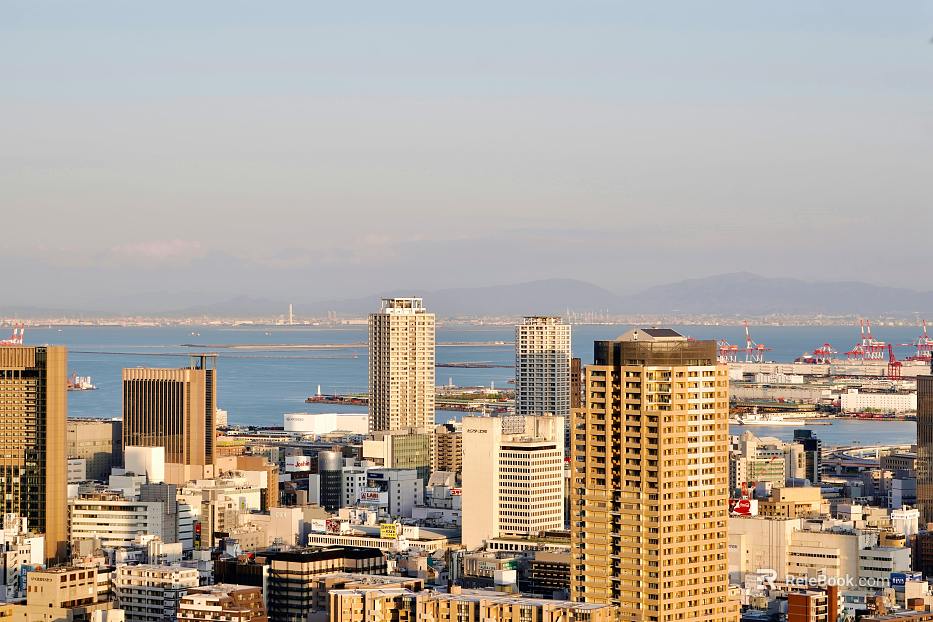 Daytime City Exterior texture