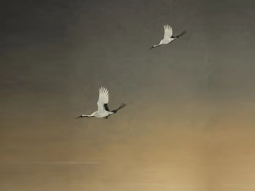 New Chinese Crane Landscape Decorative Painting texture (ID:ffaeh398794)
