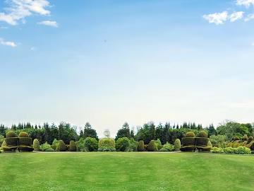 Wild Scenery texture (ID:ffaeg55633)