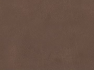 Coarse-grain leather texture (ID:ffacf3035)