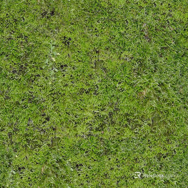 moss texture