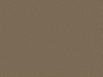 fine grain leather texture (ID:ffacg62000)