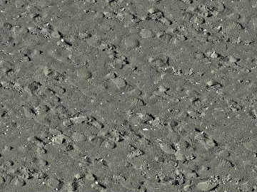 Beach Beach texture (ID:ffaaf2632)