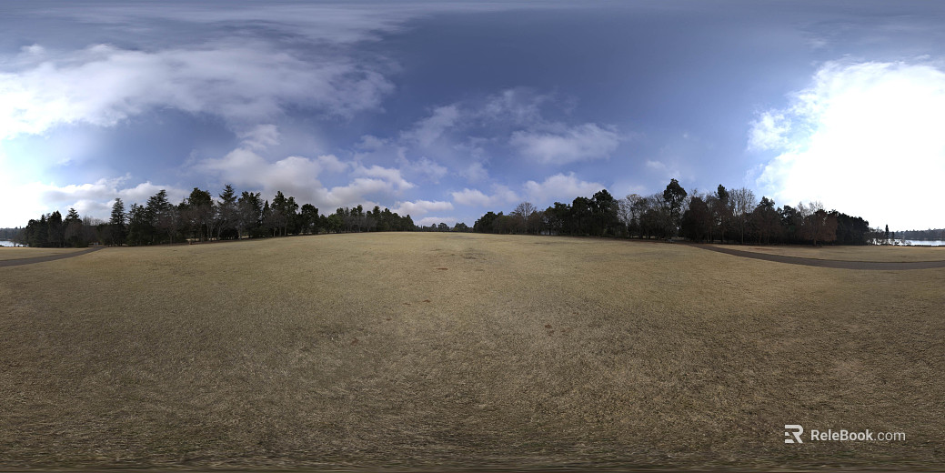 Wilderness Woods Cloudy Daytime HDR texture