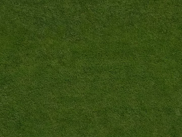 Turf texture (ID:ffaaf5681)
