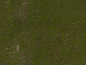 Turf texture (ID:ffaag15109)