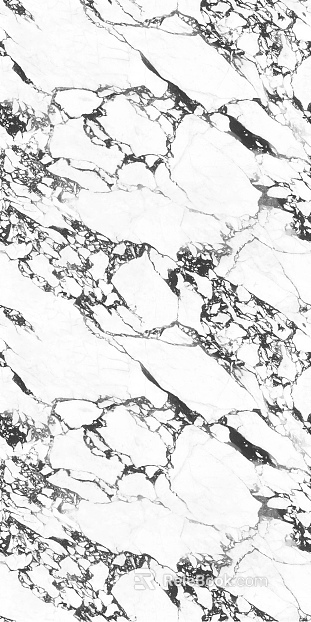 Black and white reticulated marble for walls and floors texture