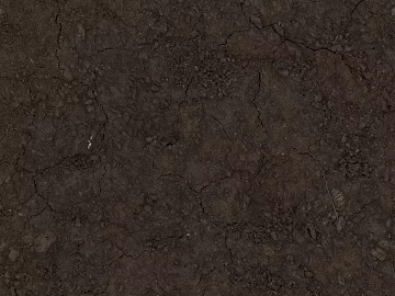 Mud texture (ID:ffajg68063)