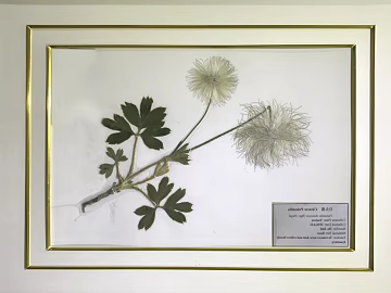 Plant painting texture (ID:ffagg82344)