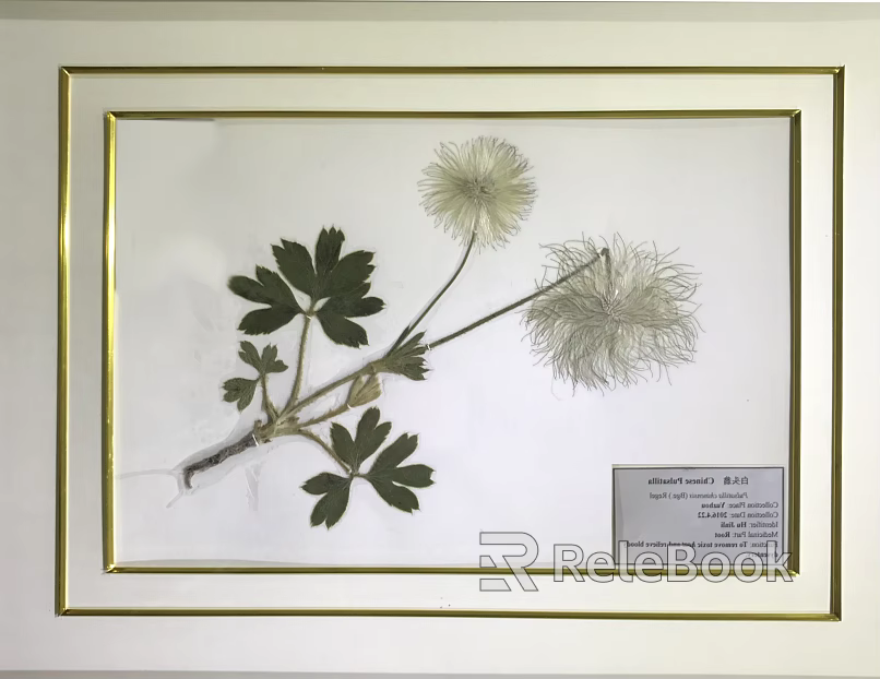 Plant painting texture