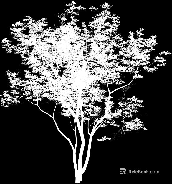 black and white tree shadow texture