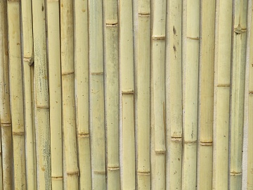 Bamboo texture (ID:ffabg86611)