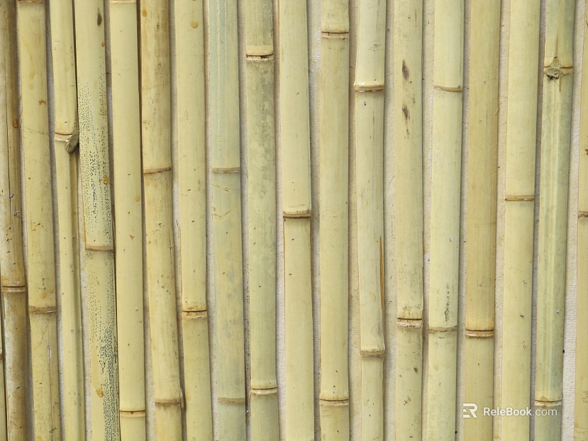Bamboo texture