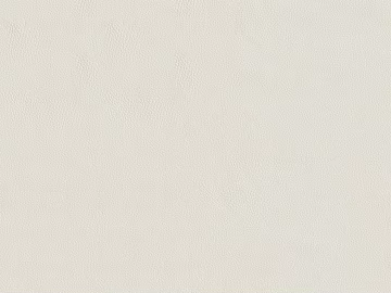 Creamy white fine grain leather texture (ID:ffach762046)