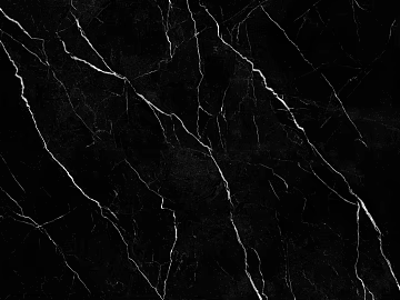 nobel black and white root texture (ID:ffach481440)