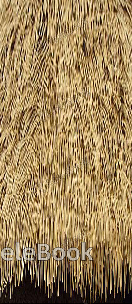 Thatch texture