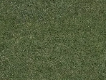 Turf texture (ID:ffacg07236)