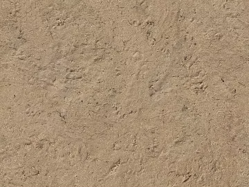 sand sand texture (ID:ffaaf1941)