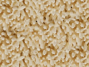 Plastic texture (ID:ffajg14218)