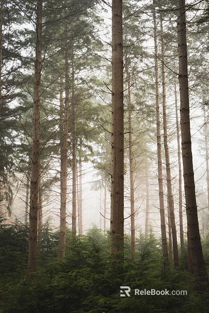 Wild Scenery texture