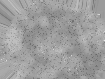 Light gray terrazzo floor wall material texture (ID:ffaeh090896)