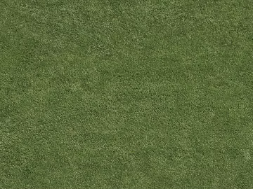 Grassland texture (ID:ffajg61266)