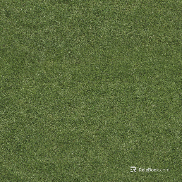 Grassland texture