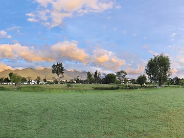 beautiful field grassland pasture lawn village texture (ID:ffaeh967467)