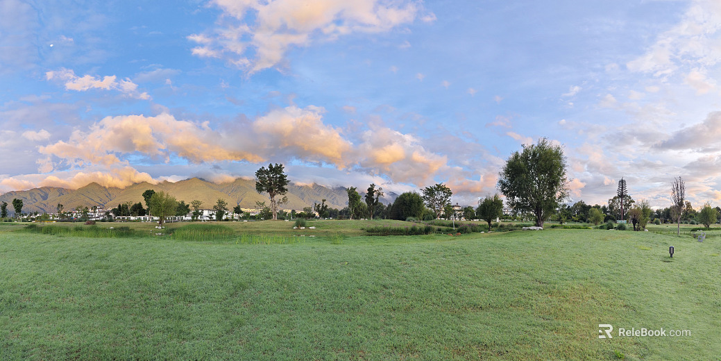 beautiful field grassland pasture lawn village texture