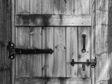 Wooden door texture (ID:ffaeg18367)