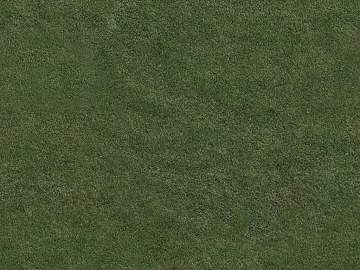 Turf texture (ID:ffajg31288)