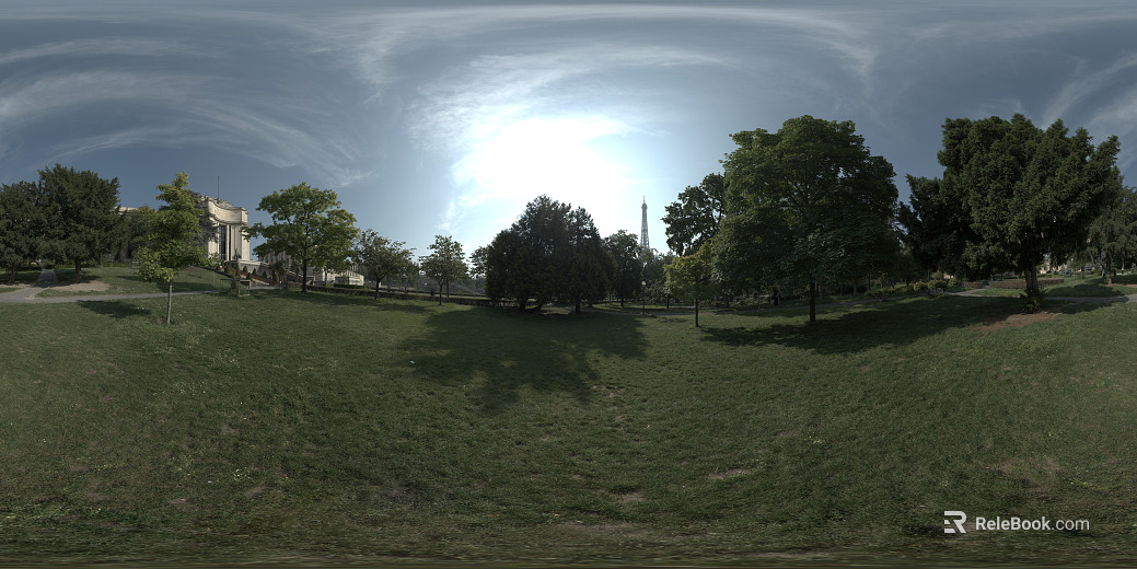Lawn Forest Park Trail Sunny Pure Sky Trees texture