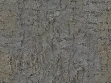 bark texture (ID:ffadf6727)
